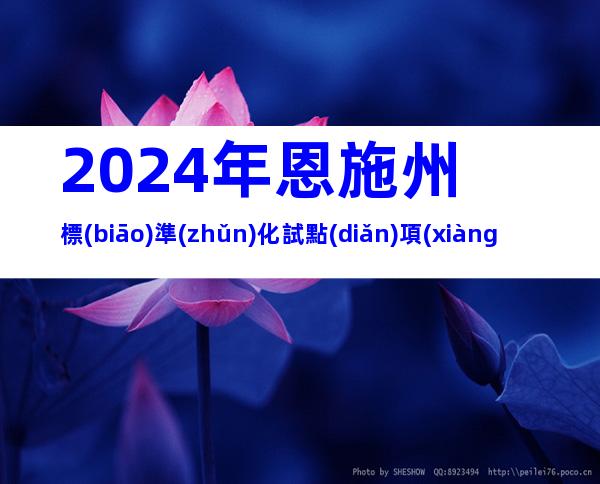 2024年恩施州標(biāo)準(zhǔn)化試點(diǎn)項(xiàng)目征集申報(bào)原則、條件及時(shí)間